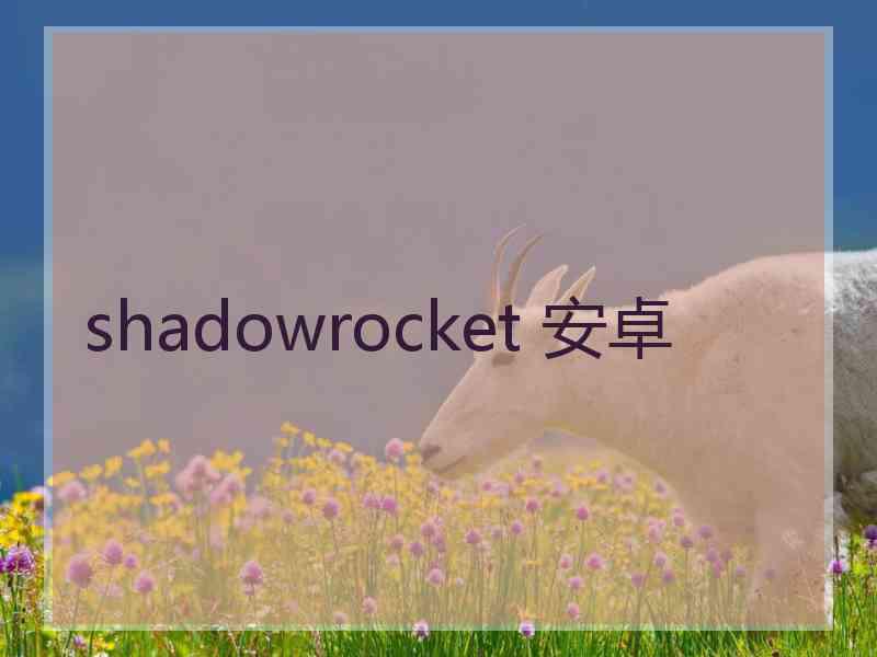 shadowrocket 安卓