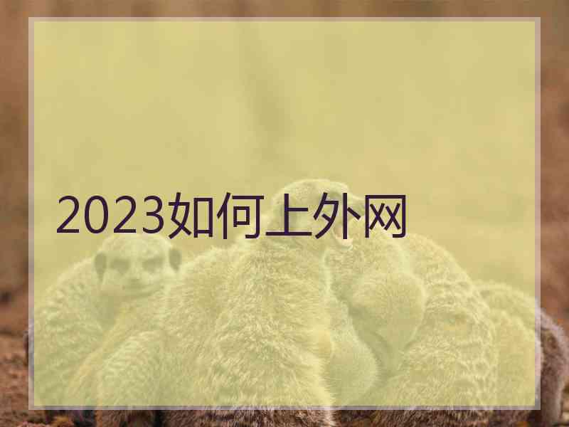 2023如何上外网