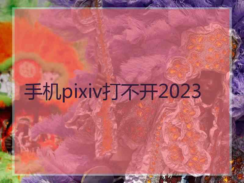 手机pixiv打不开2023