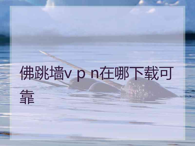 佛跳墙v p n在哪下载可靠