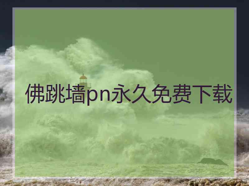 佛跳墙pn永久免费下载