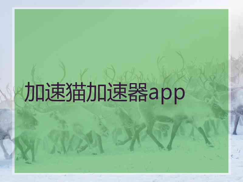 加速猫加速器app